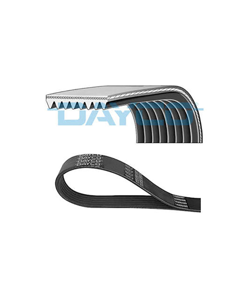 CORREIA POLY V 1600MM 8PK1600HD DAYCO