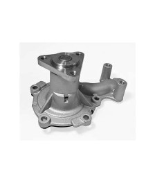 BOMBA DAGUA S/ POLIA - 204502 INDISA