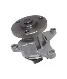 BOMBA DAGUA S/ POLIA - 204501 INDISA