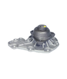 BOMBA DAGUA S/ POLIA - 20005I SCHADEK