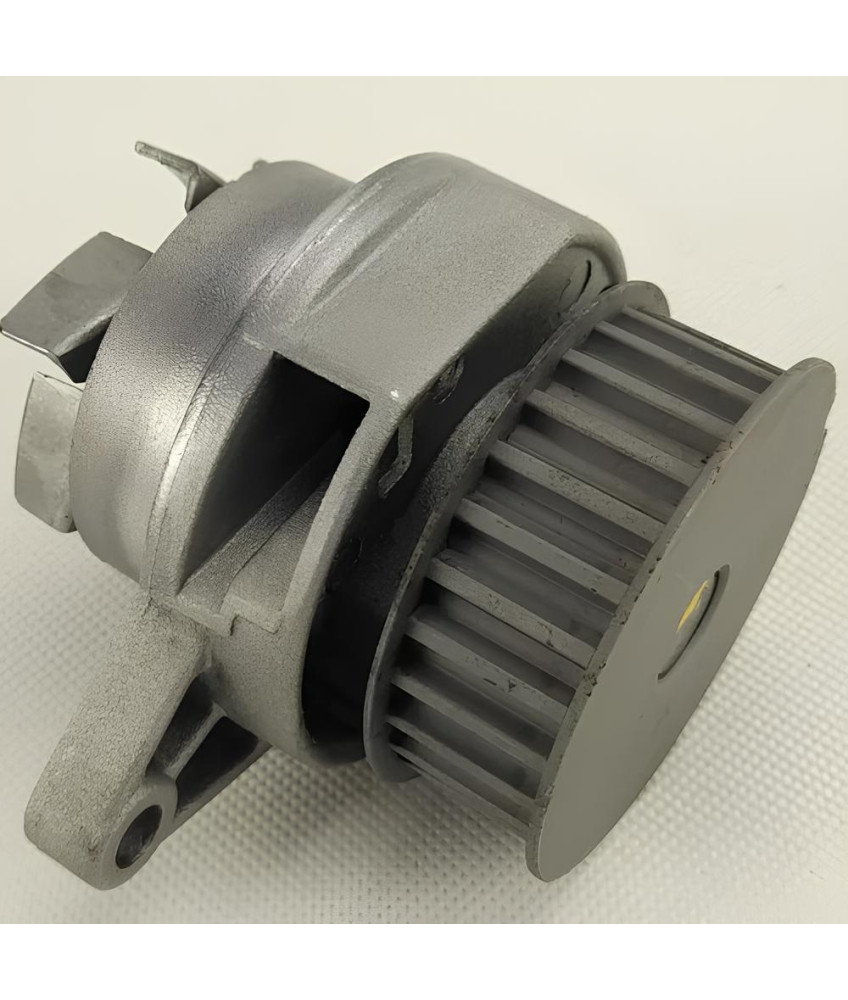 BOMBA DAGUA C/ POLIA - 20187 SCHADEK