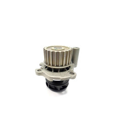 BOMBA DAGUA C/ POLIA 452006 INDISA