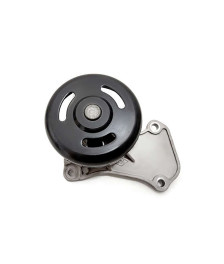 BOMBA DAGUA C/ POLIA 702521 INDISA