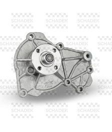 BOMBA DAGUA S/ POLIA - 20186 SCHADEK