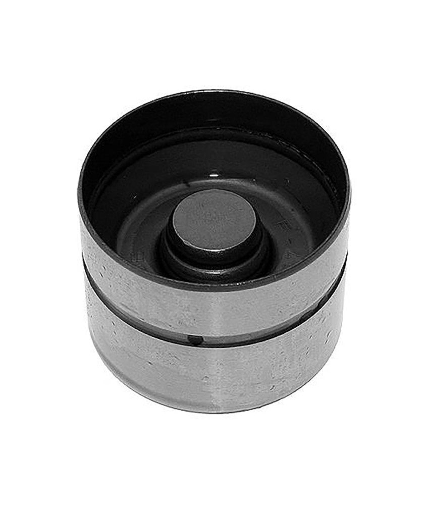 TUCHO VALVULA HIDRAULICO 4200043100 INA